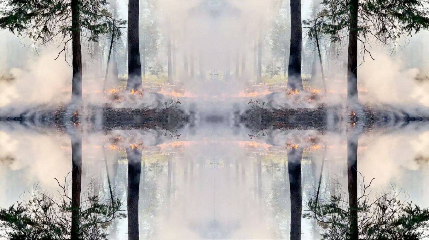 3b384f95e673850d3fc567299b6de535_1660114448_2543.JPG