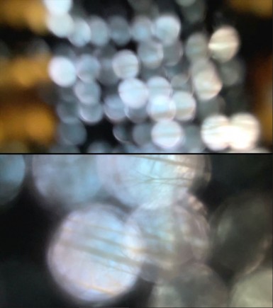 9365f6d05cd25c8b44e7ca989e64a4d7_1660032178_1459.JPG