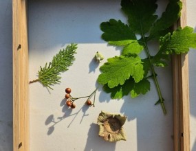 김성헌 작가 워크숍 <흙의 기억, 인공의 흔적> 자연 속 재료인 흙(점토)과 인공적 재료인 석고, 그리고 주변의 자연물을 활용해 ‘나’를 표현하는 자화상을 만들어보는 워크숍입니다.참가자는 실제 얼굴의 형상을 본떠 자화상을 만들 수도 있고, 자신만의 상징적 표식이나 흔적을 남기는 방식으로 내면의 정체성과 자연과의 관계를 탐색합니다.워크숍은 단순한 조형 활동을 넘어, 인공과 자연의 공존 속에서 나 자신을 새롭게 인식하는 예술적 자각과 미적 체험의 시간이 되었습니다.﻿ 